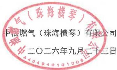 图10