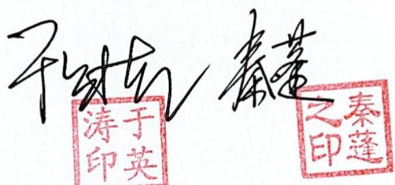 图29