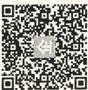 图25