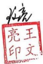 图29