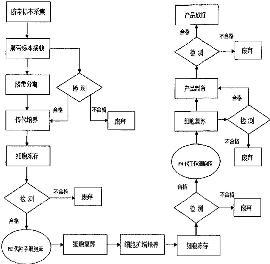 图11