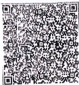 图7