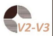 图8