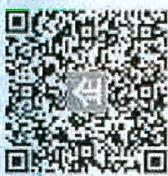 图25