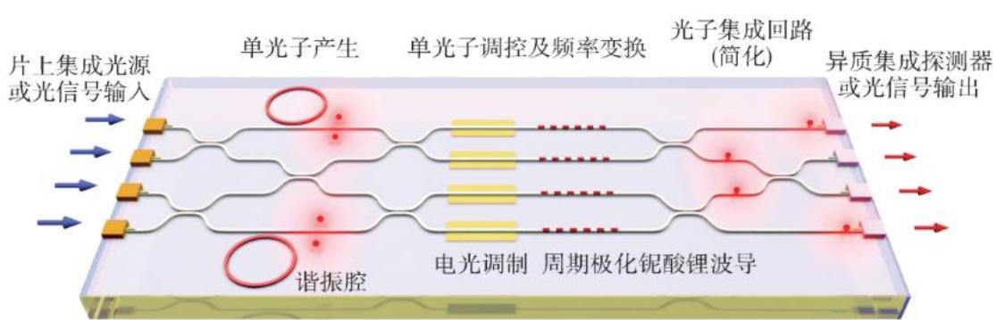 图10