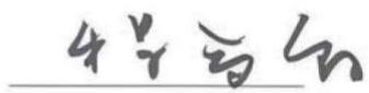 图29