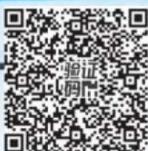 图29
