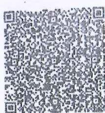 图19