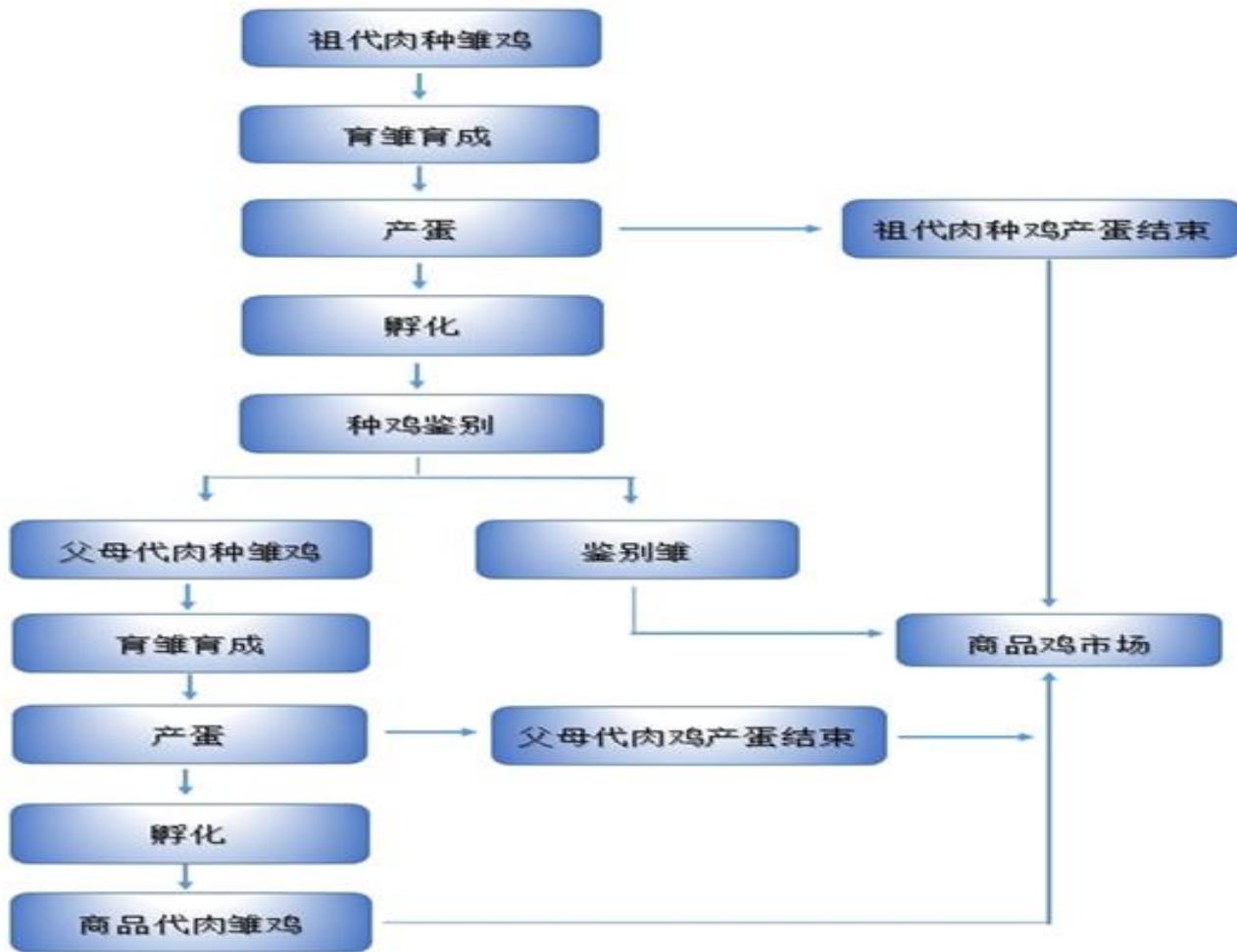 图18