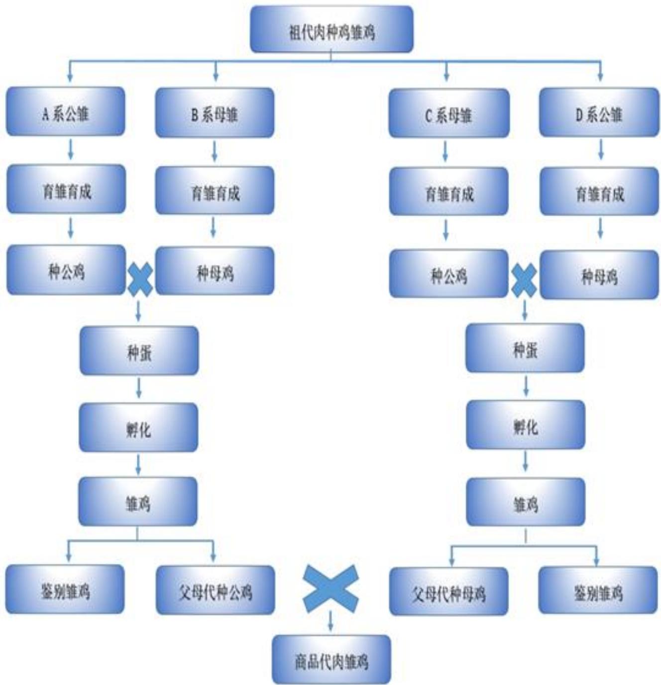 图19