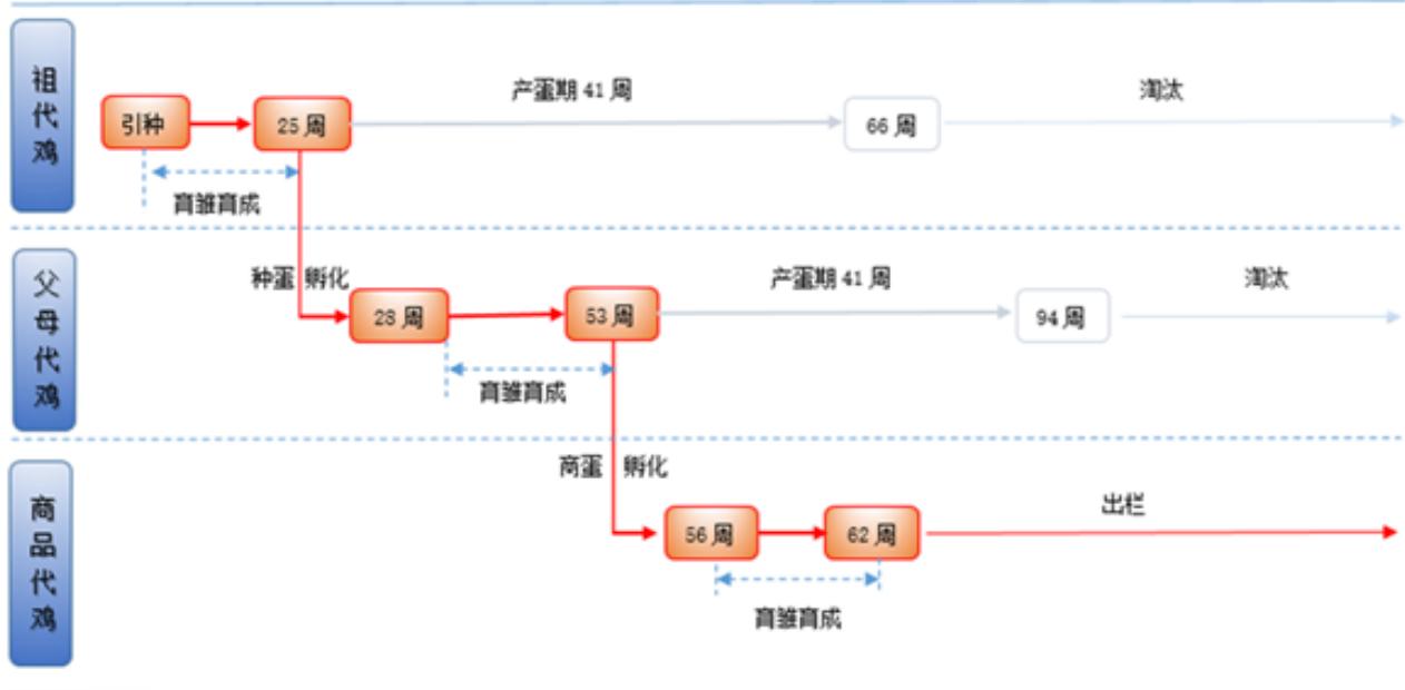 图20