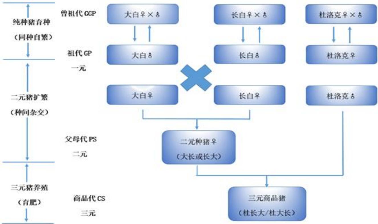 图21