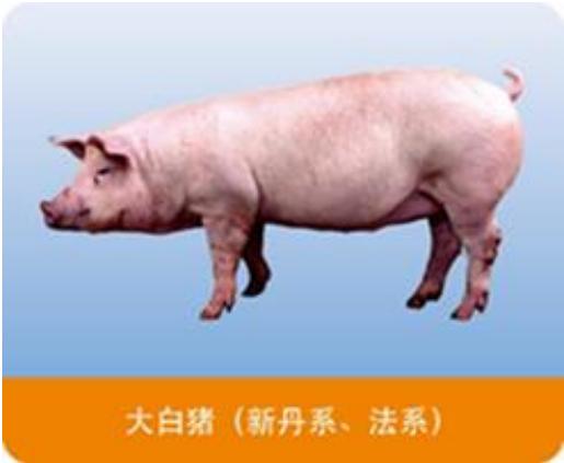 图6