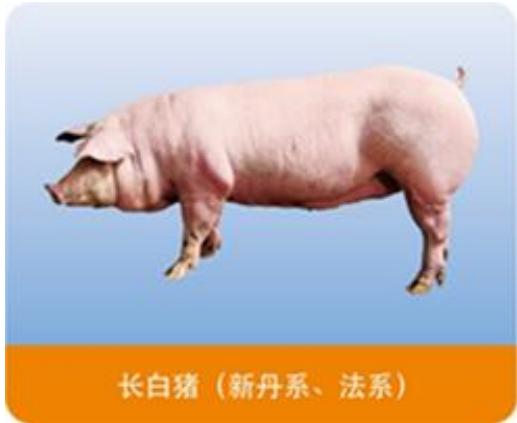 图7