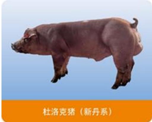 图8