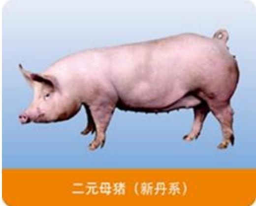 图9