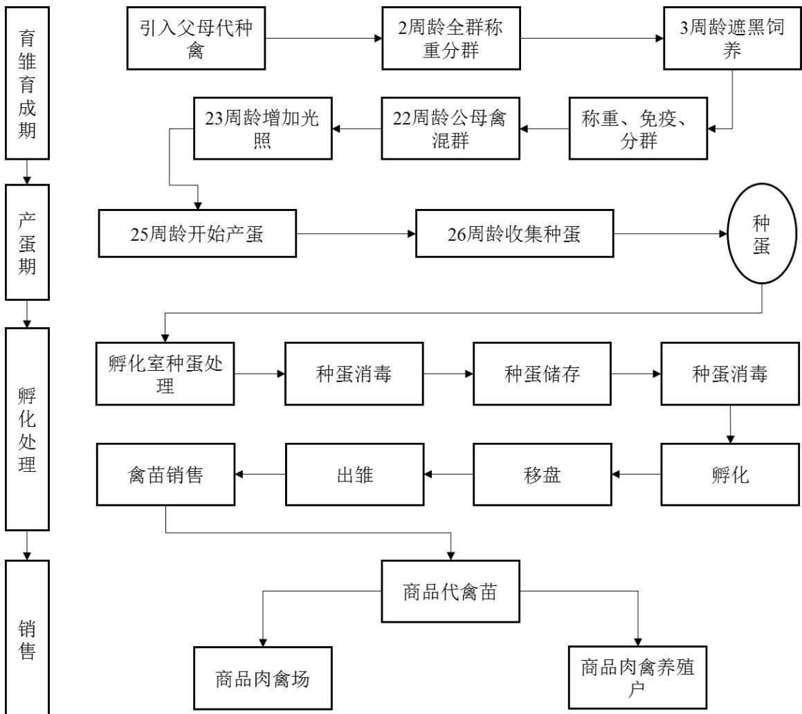 图6