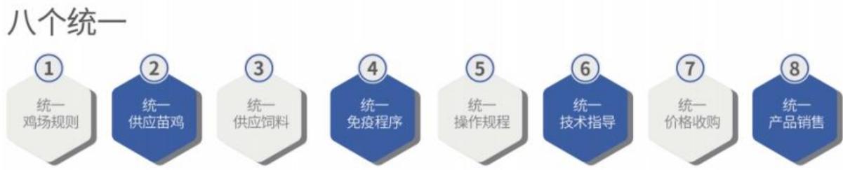 图11