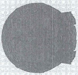 图7
