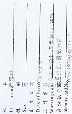 图31