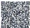 图13